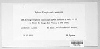 Image Associated With the Occurence